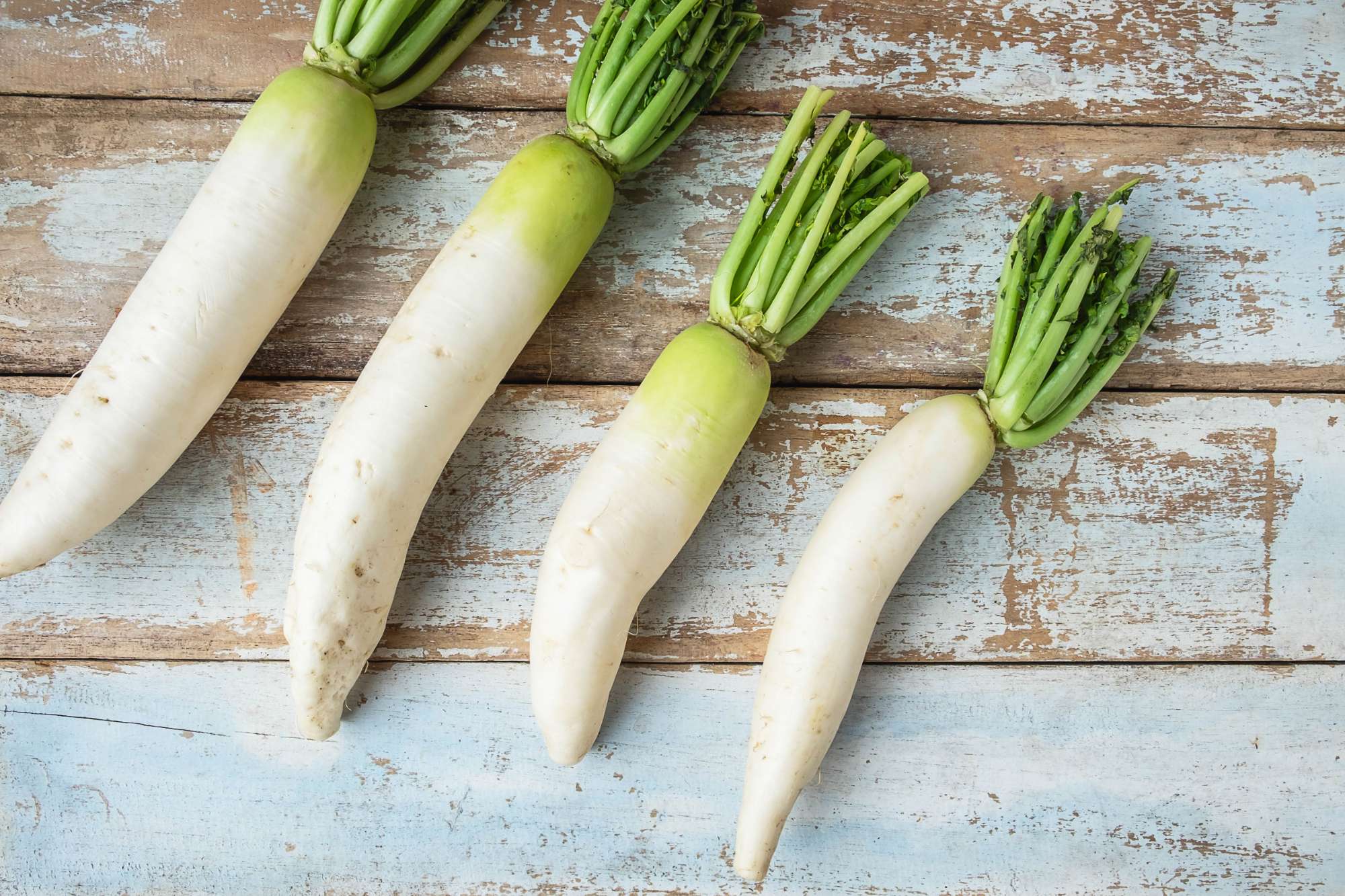 Alpine daikon radish _Crocus Media.jpg